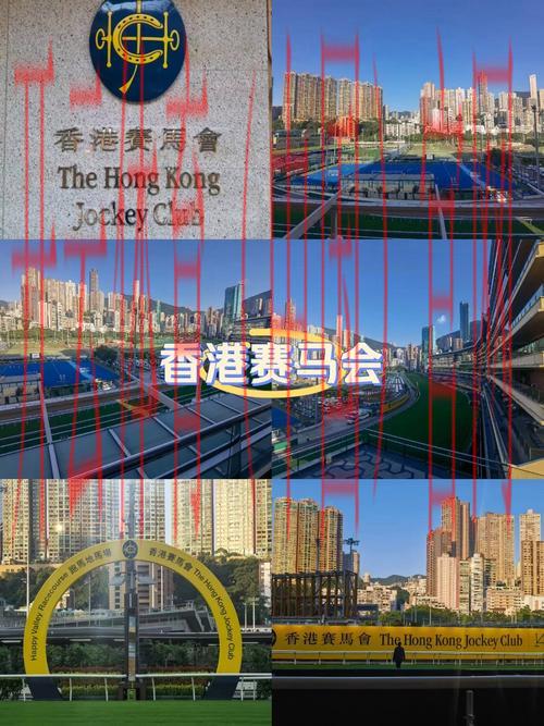 香港马会皇冠体育, 深入分析香港马会皇冠体育在博彩行业中的影响与地位