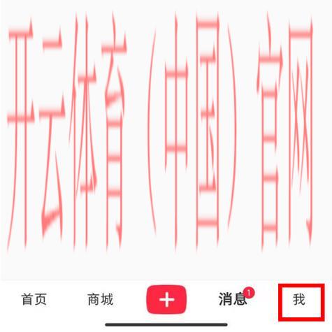 海外IP限制皇冠体育, 探讨海外玩家如何解决皇冠体育的地理限制问题